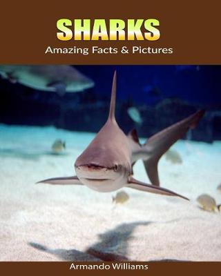 Book cover for Sharks