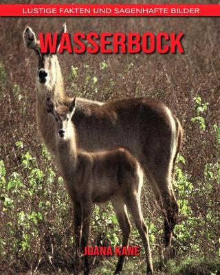 Book cover for Wasserbock