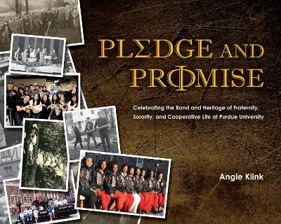 Book cover for Pledge and Promise