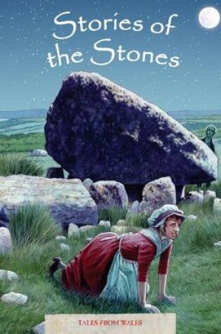 Cover of Tales from Wales 5: Stories of the Stones