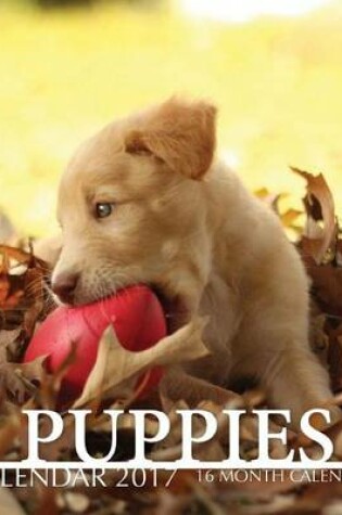 Cover of Puppies Calendar 2017