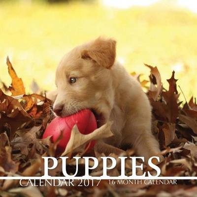 Book cover for Puppies Calendar 2017