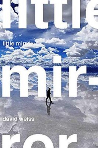 Cover of Little Mirror