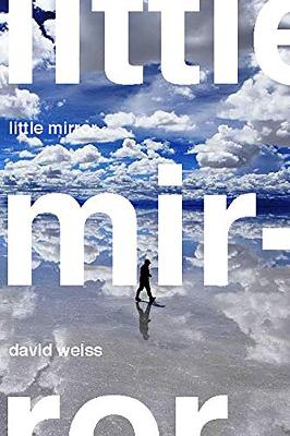 Book cover for Little Mirror