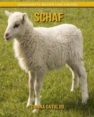 Book cover for Schaf