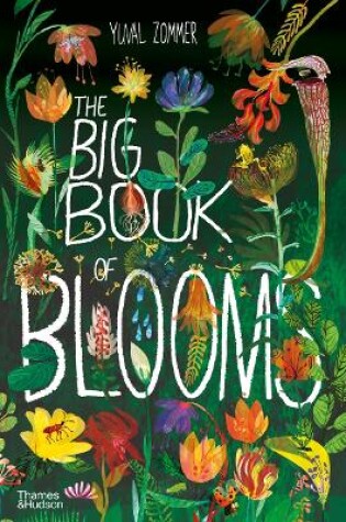 Cover of The Big Book of Blooms