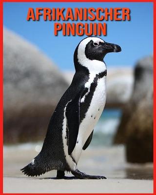 Book cover for Afrikanischer Pinguin