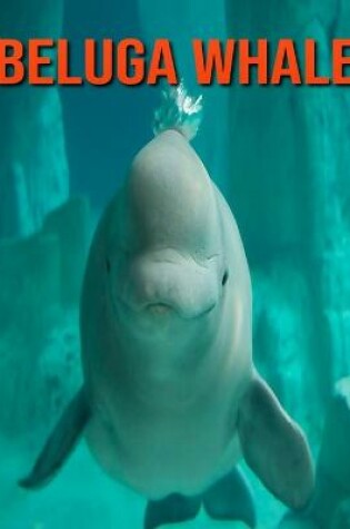 Cover of Beluga Whale