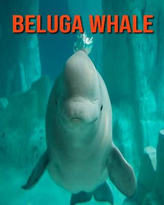 Book cover for Beluga Whale