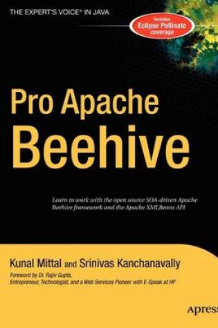 Cover of Pro Apache Beehive