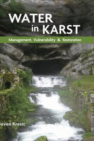 Cover of Water in Karst