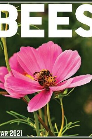 Cover of Bees Calendar 2021