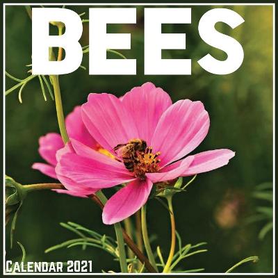 Book cover for Bees Calendar 2021