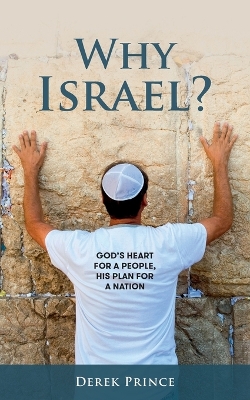 Book cover for Why Israel?