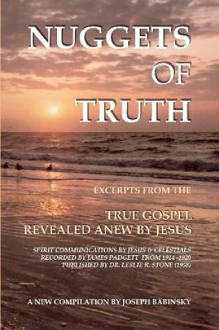 Cover of Nuggets of Truth