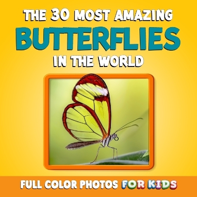 Cover of The 30 Most Amazing Butterflies in the World