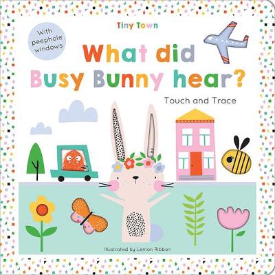 Book cover for What did Busy Bunny hear?