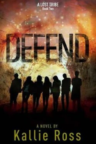 Cover of Defend
