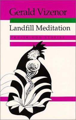 Book cover for Landfill Meditation