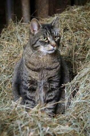 Cover of Barn Cat in the Straw Journal