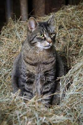 Book cover for Barn Cat in the Straw Journal
