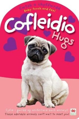 Cover of Cwtsh a Chyffwrdd: Cofleidio / Baby Touch and Feel: Hugs