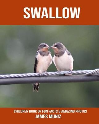 Book cover for Swallow