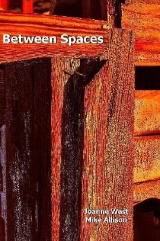 Cover of Between Spaces