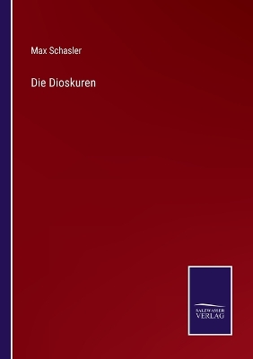 Book cover for Die Dioskuren