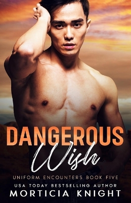 Book cover for Dangerous Wish