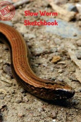 Cover of Slow Worm Sketchbook