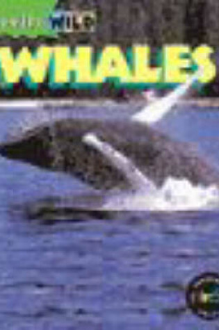 Cover of Really Wild: Whale Paperback