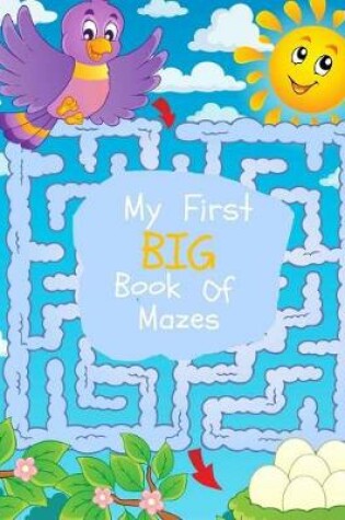Cover of My First Big Book of Mazes