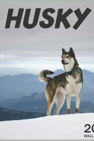 Cover of 2021 Husky