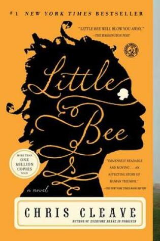 Cover of Little Bee