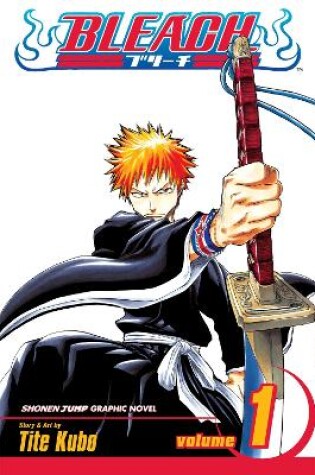 Cover of Bleach, Vol. 1