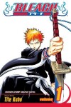 Book cover for Bleach, Vol. 1