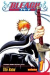 Book cover for Bleach, Vol. 1