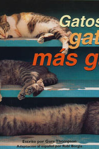 Cover of Gatos, Gatos, y Mas Gatos