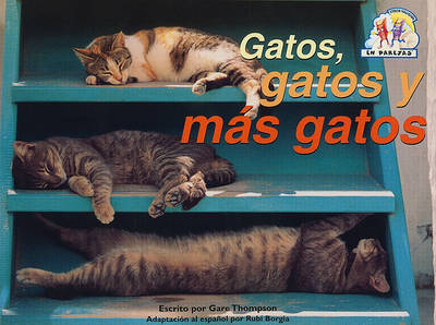 Book cover for Gatos, Gatos, y Mas Gatos