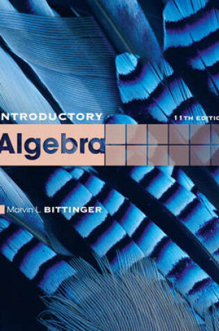 Cover of Introductory Algebra