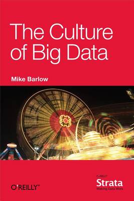 Book cover for The Culture of Big Data