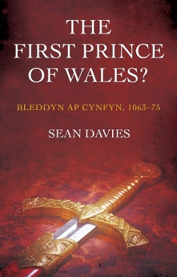 Book cover for The First Prince of Wales?