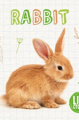 Cover of Rabbit