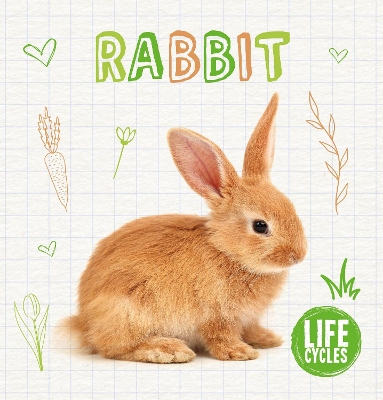 Cover of Rabbit