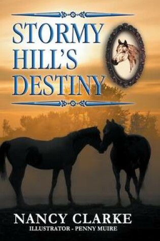 Cover of Stormy Hill's Destiny