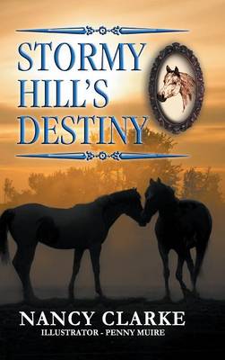 Book cover for Stormy Hill's Destiny