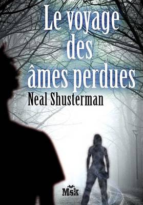 Book cover for Le Voyage Des Ames Perdues