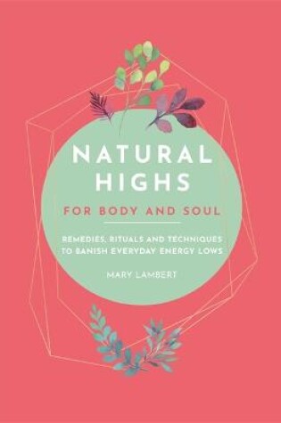 Cover of Natural Highs: 70 Instant Energizers for Body and Soul