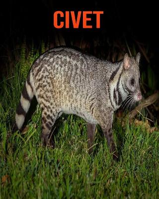 Book cover for Civet